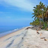 Marari Beach Alappuzha 